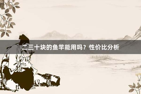 二三十块的鱼竿能用吗？性价比分析